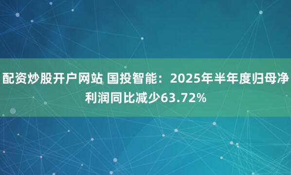 配资炒股开户网站 国投智能：2025年半年度归母净利润同比减少63.72%