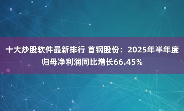 十大炒股软件最新排行 首钢股份：2025年半年度归母净利润同比增长66.45%